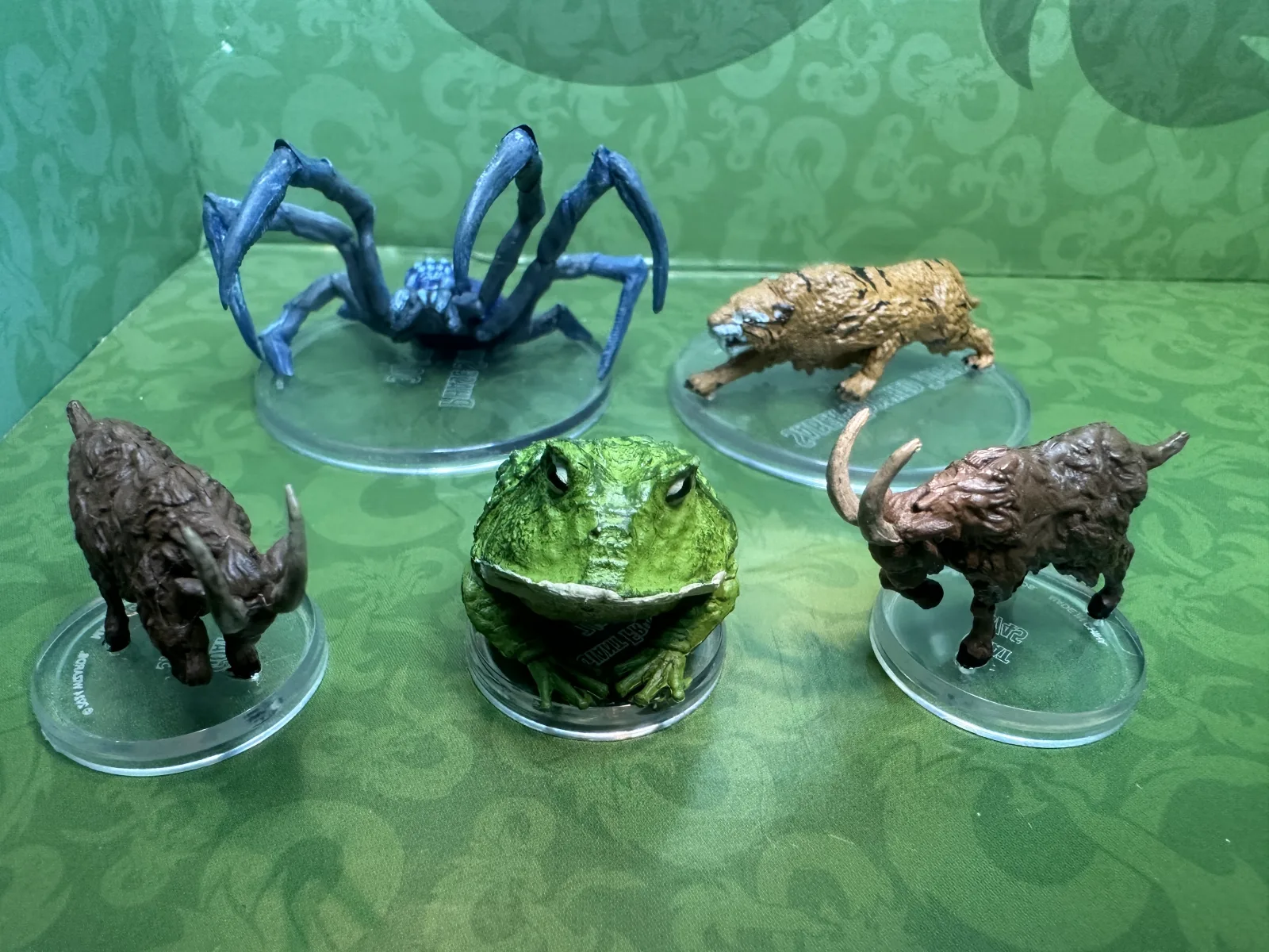 Lot of Animals